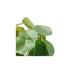 Avis Jardindeco Pilea artificiel toucher naturel pot céramique.