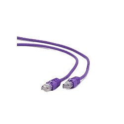 Câble RJ45