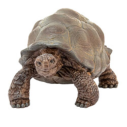 Schleich Figurine Tortue Géante Série Wildlife Modèle Réduit Multicolore