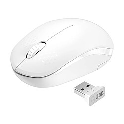 Souris Sans Fil 2.4G Avec Récepteur USB Pour Tablette PC PC Noir