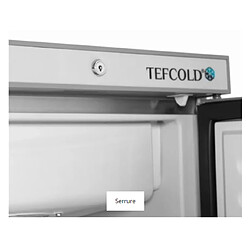 Congélateurs Verticaux de Vitrine - TEFCOLD