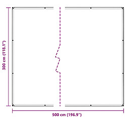 Acheter vidaXL Bâche transparente avec œillets 3x5 m PVC