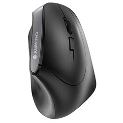 CHERRY MW 4500 mouse