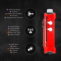 Acheter Duronic Ecohand Radio AM/FM à Dynamo avec Lampe Torche - Ne nécessite Aucune Pile - Idéal pour Camping, randonnées, Jardin, Bricolage