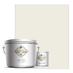 BARBOUILLE BAR-RESINE : Peinture/résine époxy bi-composants, en phase aqueuse pour carrelages, faiences, stratifiés, PVC, etc… Finition Mate