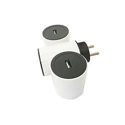 Watt & Co Chargeur 2xUSB 2.1A MODULOWATT + 1P 16A