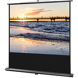 Ecran de projection celexon Ultramobile PRO 180 x 135 | Format 4:3