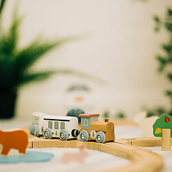 Avis Bigjigs Toys Ensemble de train d'animaux des bois