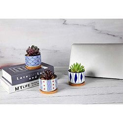 BESTA Pots de Plantes Succulentes avec Plateau en Bambou - Lot de 3 Pots de Plantation Cylindriques en Céramique Japonaise avec Trous de Drainage - Pots pour Plantes Succulentes, Petits Cactus, Herbes