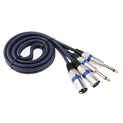 double câble mâle 6.35mm à double câble audio xlr pour haut-parleur 150cm pas cher