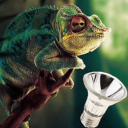 3 Pcs E27 Reptile Halogène Spotlight Spectre Complet UVA UVB Chauffage Lumière 25 W