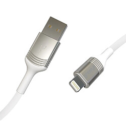 Greene Câble Lightning MFI vers USB 2.0 avec Attache Charge et Synchronisation 2,5m Blanc