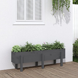 Maison Chic Jardinière,Lit surélevé de jardin - Bac à fleurs - pot de fleur gris 121x30x38 cm bois de pin massif -GKD87427