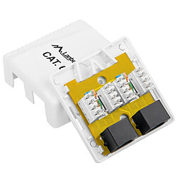 Prise en saillie Lanberg avec 2 x RJ45 Cat.6 UTP non blindé