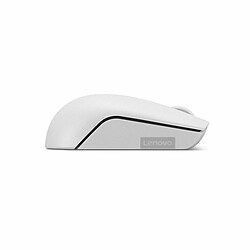 Souris Optique Sans Fil Lenovo GY51L15677 Gris 1000 dpi