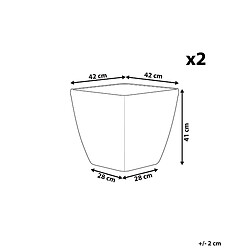 Avis Beliani Lot de 2 pots de fleurs argentés 42 x 42 x 41 cm ASTRAS