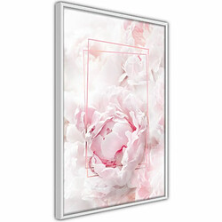 Paris Prix Affiche Murale Encadrée Floral Dreams 20 x 30 cm Blanc