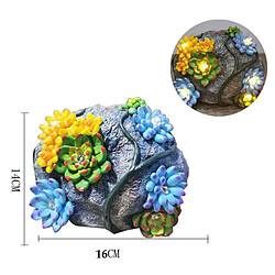 Acheter de roche solaires avec jardin succulent