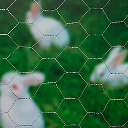 Nature Grillage métallique hexagonal 0,5 x 10 m 25 mm Acier galvanisé