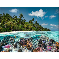 Ravensburger Puzzle Adultes Une plongee aux Maldives - 2000 pcs