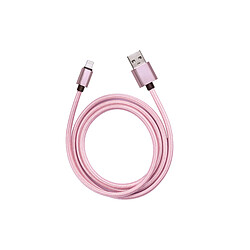 Platyne Cable Usb Vers Lightning 1 Metre