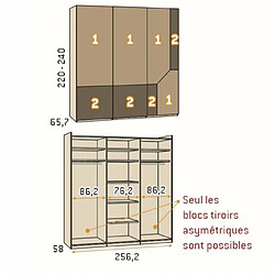 Inside 75 Armoire 3 portes coulissantes suspendues Icon 256,2 x 220 couleur Tundra Cristal Blanco Profil Inox