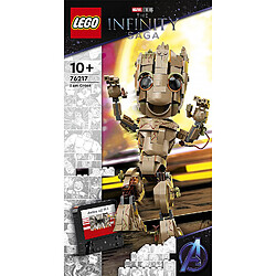 76217 Je s'appelle groot LEGO® Marvel Super Heroes?