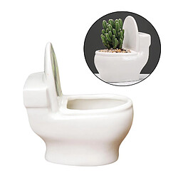 Avis Pot de fleurs succulentes statues de toilette vase ornement