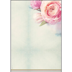 sigel Papier à motif, A4, 90 g/m2, motif 'Rose Garden' ()