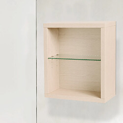 Cube de rangement modulaire étagère caisson murale bois 45 x 40 x 18 cm chêne CEDAM