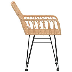 Acheter vidaXL Chaises de jardin lot de 2 accoudoir 56x64x80 cm Résine tressée