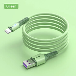 Cables X2 USB Charge Rapide 3A Silicone Vert 2m Pour iPhone 8 / X / XR / 11 / 12 / 13 / SE 2022 Little Boutik®