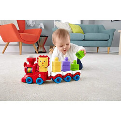 Avis Fisher Price Train et lion cubes