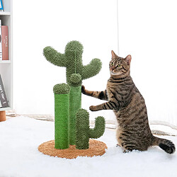 Avis Universal Cactus rasé, chat rampant, cadre, chat sabre, jouet.