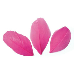 Graines Creatives 50 plumes coupées - Fuchsia 6 cm