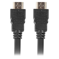 Câble vidéo HDMI-A mâle 1.4 4K Lanberg 3m pas cher