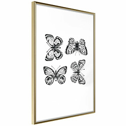 Paris Prix Affiche Murale Encadrée Butterfly Collection IV 20 x 30 cm Or