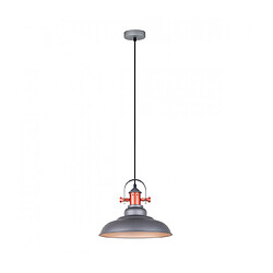 Luminaire Center Suspension industrielle et rétro Temper Gris, cuivre