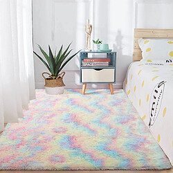 Acheter Universal Gradient couleur peluche tapis souple zone épaisse tapis absorbant l'eau tapis de sol antidérapant chambre salon décoration de la maison | Tapis(Coloré)