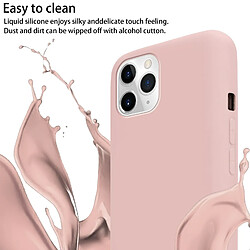 Avis Cadorabo Etui iPhone 11 PRO Coque en Rose