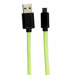 Paris Prix Câble Micro USB Phosphorescent 200cm Vert