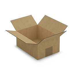 Raja Carton d'emballage 20 x 20 x 11 cm - Simple cannelure