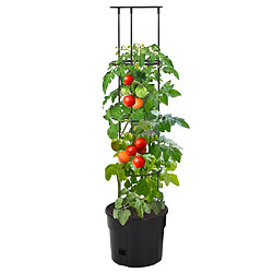 vidaXL Jardinière à tomate - Ø29,5x115 cm - Polypropylène