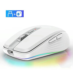 Yonis Souris Ergonomique RGB Rechargeable 2400DPI