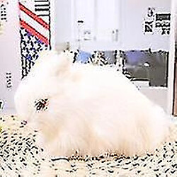 Universal Mini réaliste blanc peluche peluche peluche sauvetage lapin jouet modèle vin blanc