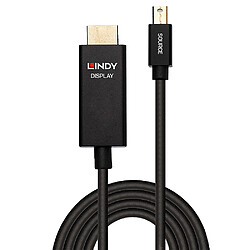 Lindy 40920 câble vidéo et adaptateur 0,5 m Mini DisplayPort HDMI Noir