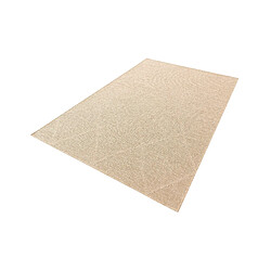 Hadorn Tapis 180x120 beige Harmony