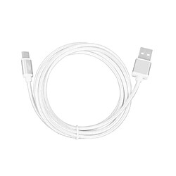 Acheter Cle USB - USB C cle 2 m silver