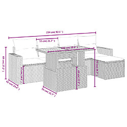 Avis vidaXL Salon de jardin 6 pcs avec coussins noir résine tressée