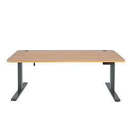 Decoshop26 Bureau table d'ordinateur réglable en hauteur électriquement 160 x 80 cm HDF noir acier gris anthracite 04_0006046